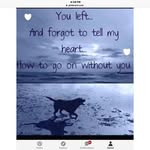 Carol Forrest - @forrest926 - Instagram