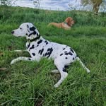Carol Forrest - @carol.forrest.39142 - Instagram
