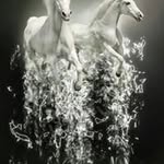 Carol Forrest - @carol.forrest.731 - Instagram