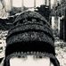Carol Forrest - Facebook