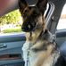 Carol Fulcher - Facebook