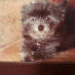 Carol Fulcher - @carol.fulcher.129 - Instagram