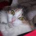 Carol Gabbert - Facebook