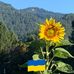 Carol Goslin-Gabbert - Facebook