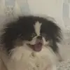 carolgabbert2 - @carolgabbert2 - TikTok