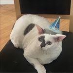 Carol Gable Stein - @2newkids - Instagram