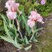 Carolyn Gable - Facebook