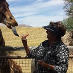 Carol Gail - @cginps - Instagram