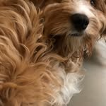 Carol Gallagher - @carolgallagher403 - Instagram