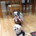 Carol Galloway - Facebook