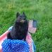 Carol Gamache - Facebook