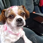 Carol games - @granuladinhafamosa - Instagram