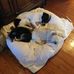 Carol Gandy - Facebook