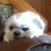 Carol Gandy - Facebook