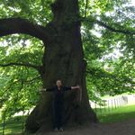 Carol Gans - @cbgans - Instagram