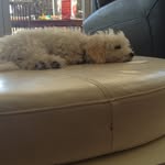 Caroline gartrell - @hgartrell6 - Instagram