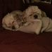 Carol Gilbert - Facebook
