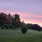 Carol Giuliani - @carol.giuliani.5 - Instagram