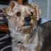 Carol Gladden - Facebook