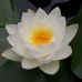 Carol Gladden - Facebook