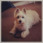 Carol Goss - @c.goss28 - Instagram