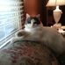 Carol Goss - Facebook