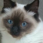 Carol Goss - @carol.goss.520 - Instagram