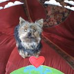 Carol Goss - @cgoss64 - Instagram