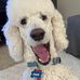 Carol Graf - Facebook