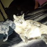 Carol Graves - @carol.graves.3781 - Instagram