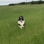 Carol Graves - @huckleberry1453 - Instagram