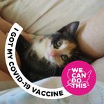 Carol Grider - @junga1949 - Instagram