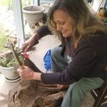 Carol Grider - @cgrider44 - Instagram