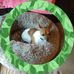 Carol Grider - Facebook