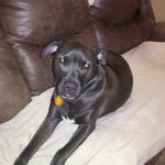 Carol Grider - @grider850 - Instagram