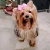 Carol - @carolgrimm8 - TikTok