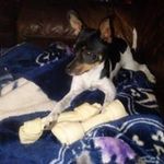 Carol Grimes - @csgrimes55 - Instagram