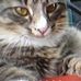 Carol Grimsley - Facebook