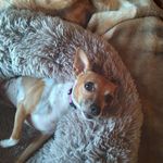 Carol Grinder - @grindercarol2 - Instagram
