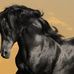 Carol Groff - Facebook