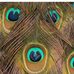 Carole Guillo - Facebook