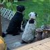 Carol Novak Gundersen - Facebook