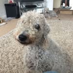 Carol Gunn - @carol.gunn.507 - Instagram