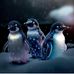 Carol Gunn - Facebook