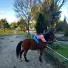 Carol - @carol._.hacker - TikTok
