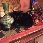 Carol G Hackman - @carolfrompa4460 - Instagram