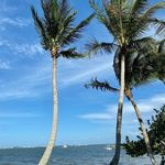 Carol Hackney - @southfloridajewelryco - Instagram
