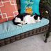 Carol Hackworth - Facebook