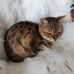 Carol Hackworth - Facebook