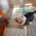 Carol Hadden - Facebook